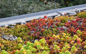 the cost of Waterfall green roof installation