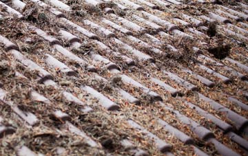 Waterfall roof cleaning companies