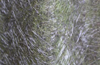 Waterfall fibreglass roof work